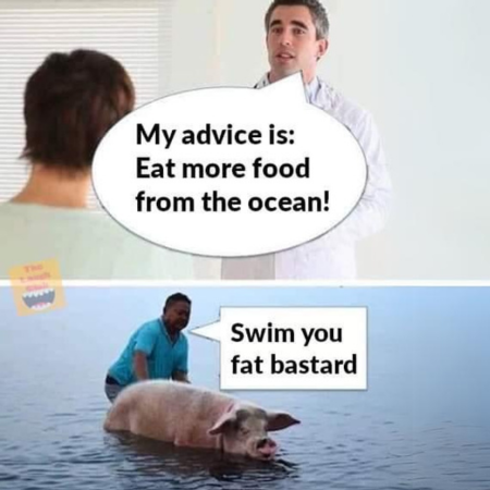 Ocean food 