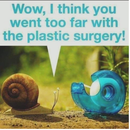 Snail plastic surgery.png