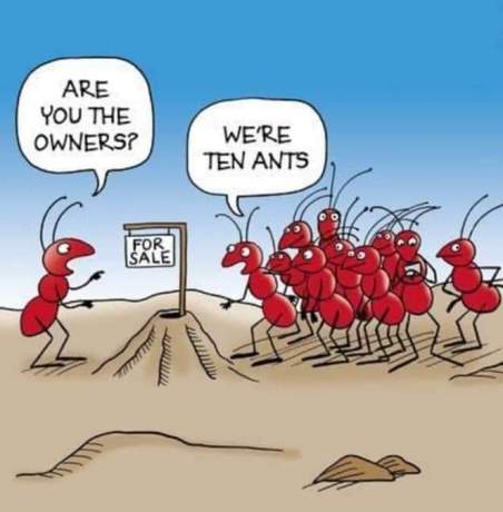 Ten ants
