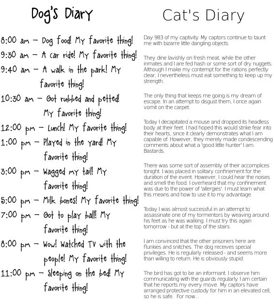 Dog's vs Cat's diary